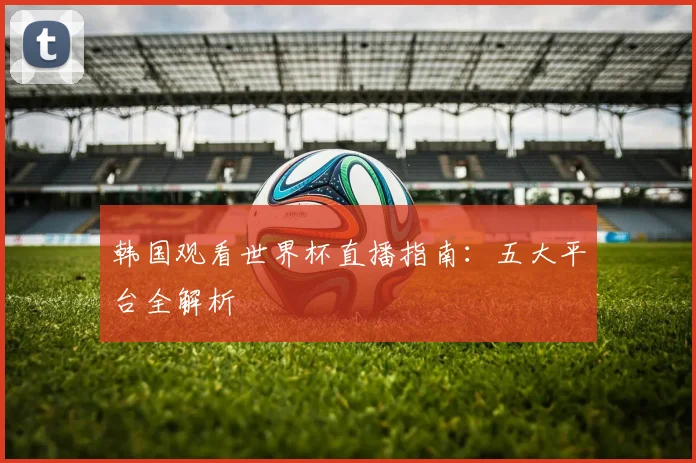 韩国观看世界杯直播指南：五大平台全解析