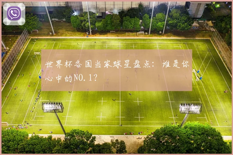 世界杯各国当家球星盘点：谁是你心中的NO.1？