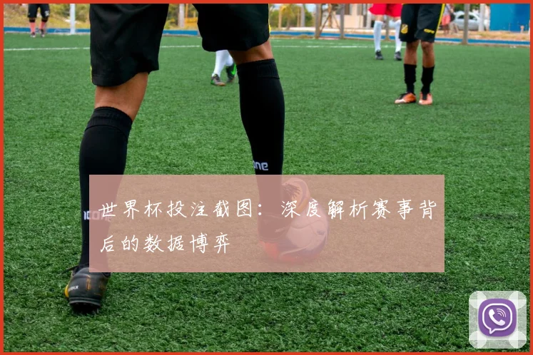 世界杯投注截图：深度解析赛事背后的数据博弈