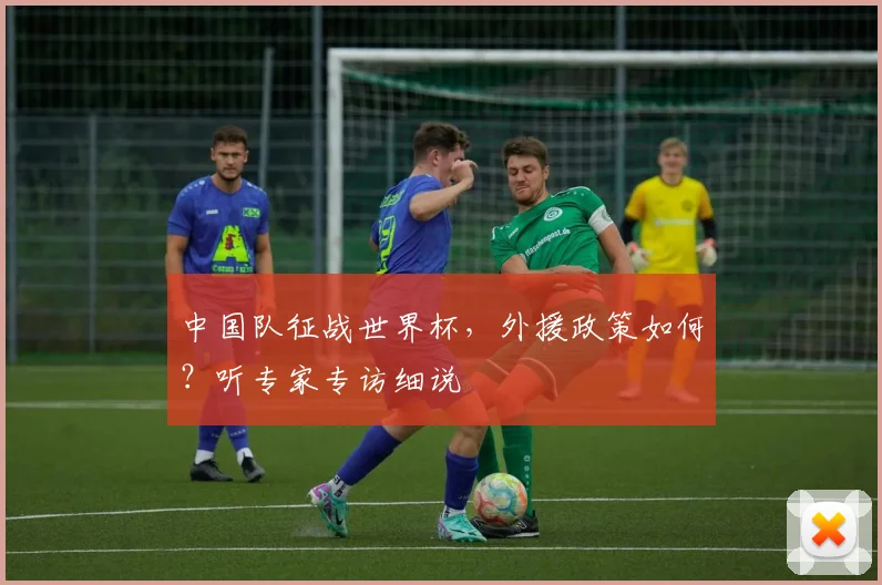 中国队征战世界杯，外援政策如何？听专家专访细说