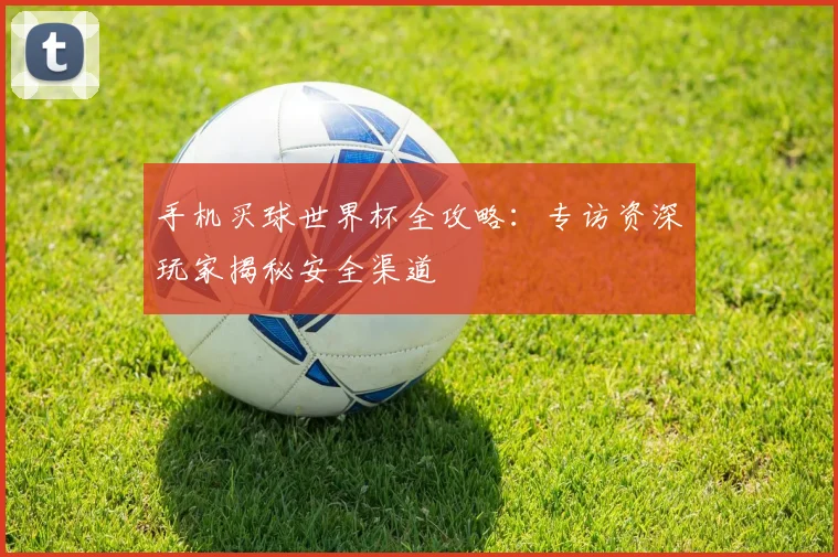 手机买球世界杯全攻略:专访资深玩家揭秘安全渠道