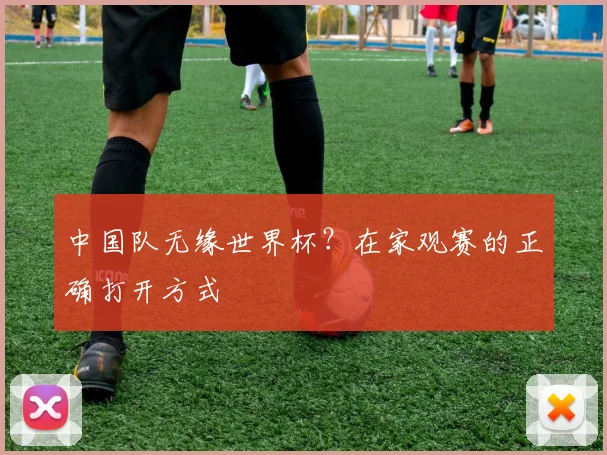 中国队无缘世界杯？在家观赛的正确打开方式