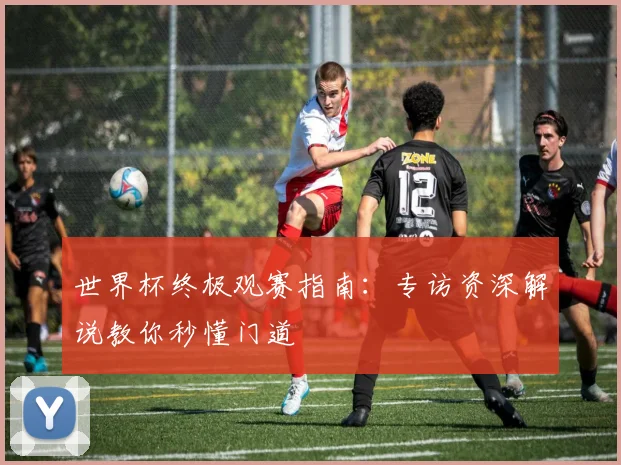 世界杯终极观赛指南：专访资深解说教你秒懂门道
