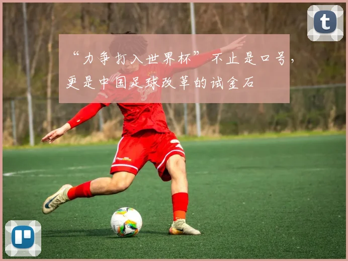“力争打入世界杯”不止是口号,更是中国足球改革的试金石