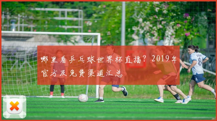 哪里看乒乓球世界杯直播？2019年官方及免费渠道汇总