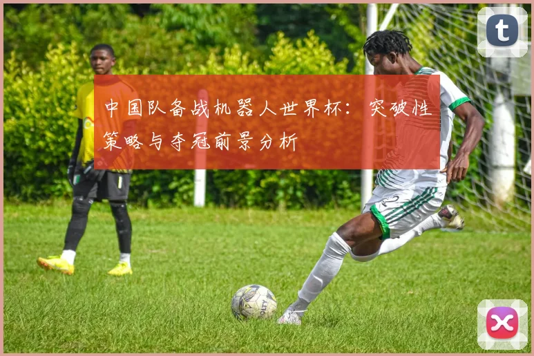 中国队备战机器人世界杯：突破性策略与夺冠前景分析