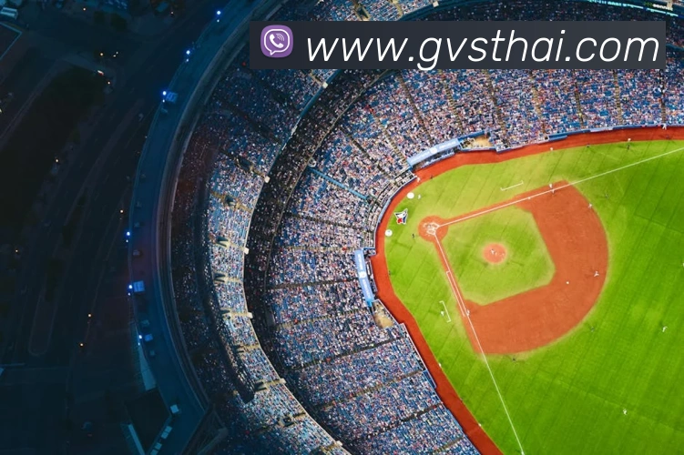 开云账号中心登录入口平台生态图